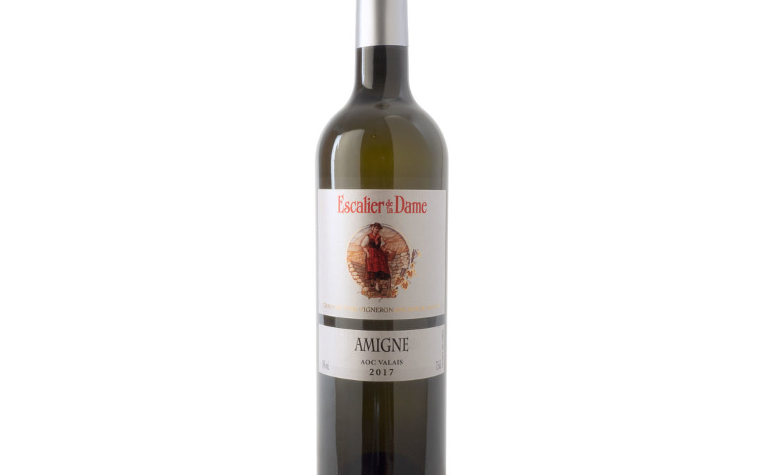 Angebot : AMIGNE