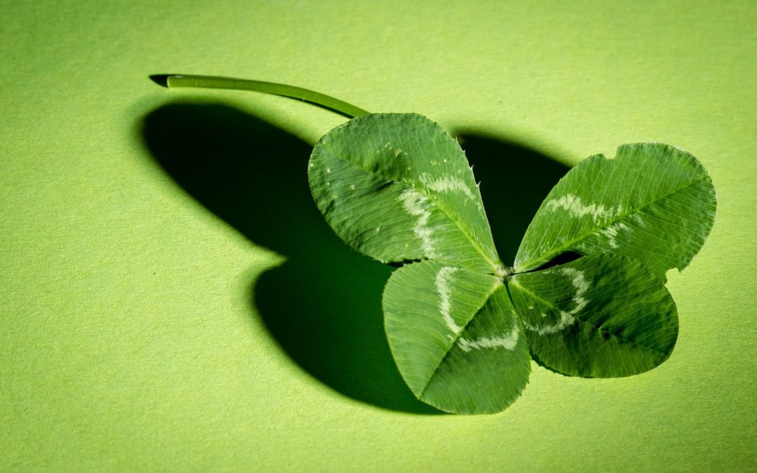 🍀Rabatt Fr 13.-