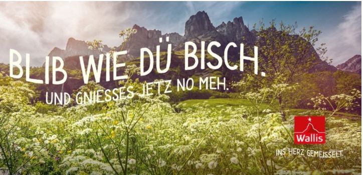 Mit ihrem D E G U S T A T I O N S – Karton können Sie unsere Weine zu Hause neu entdecken.